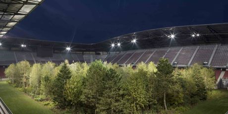 FOR FOREST – The Unending Attraction of Nature - 5