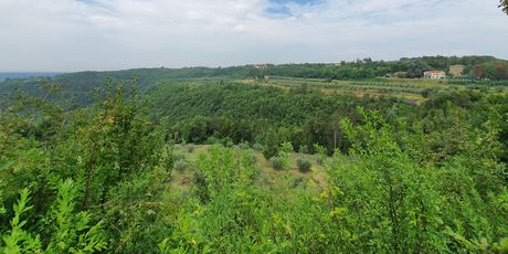 Grožnjan (fotografirano sa Samsung Galaxy Note10+)