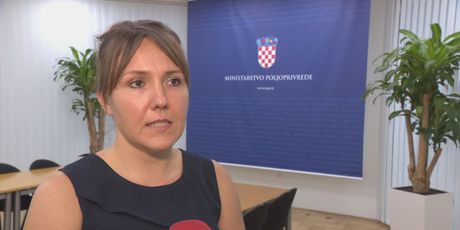 Marija Batinić Sermek (Foto: Dnevnik.hr)