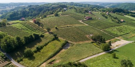 Hrvatska vinska priča u finalu natjecanja američkog Wine Spectatora - 1