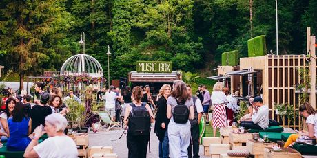 Pop Up Summer Garden - 1