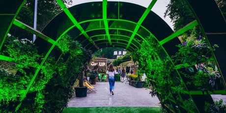 Pop Up Summer Garden - 2