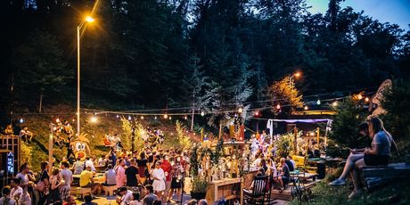 Pop Up Summer Garden - 4