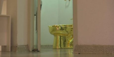 Ukradeni zlatni WC (Foto: Dnevnik.hr) - 2