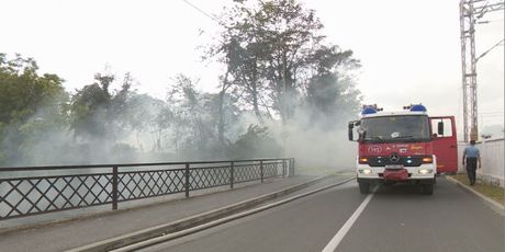 Požar kod zagrebačkog Botaničkog vrta (Foto: Dnevnik.hr)