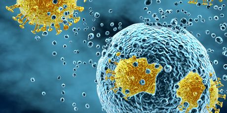 Virusi (Ilustracija: Getty)