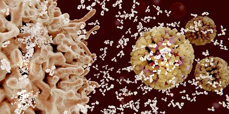 Virusi (Ilustracija: Getty)