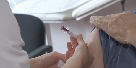 Cijepljenje (Foto: Dnevnik.hr)