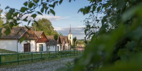 Go2Baranja - 16