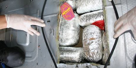 Policija u automobilu pronašla gotovo 14 kilograma marihuane (Foto: PU dubrovačko-neretvanska) - 1
