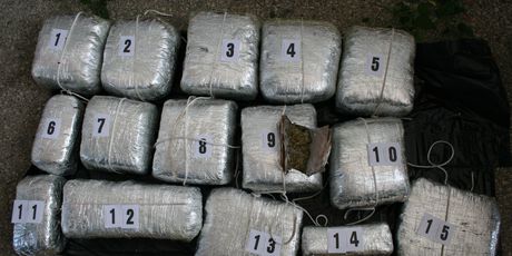 Policija u automobilu pronašla gotovo 14 kilograma marihuane (Foto: PU dubrovačko-neretvanska) - 2