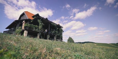 Vinarija Bolfan nalazi se na samom vrhu s prekrasnim pogledom na krajolik