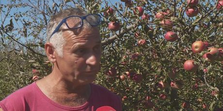 Marijan Bakula, proizvođač jabuka (Foto: Dnevnik.hr)