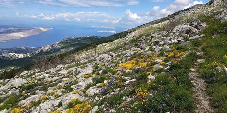 Via Adriatica Trail - 20