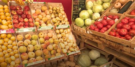 Porasla online prodaja - 1