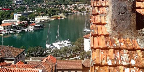 Kotor