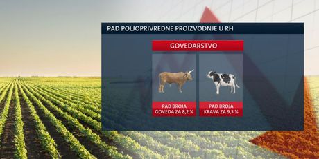 Pad stočarstva u Hrvatskoj