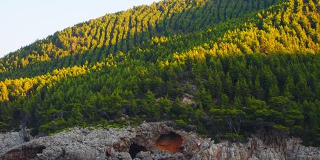 Mljet - 3