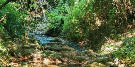 Labin - Rabac planinarske staze - 8