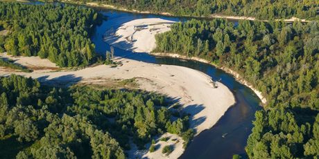 Drava
