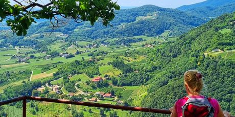 Planinarenje & ruže - 4