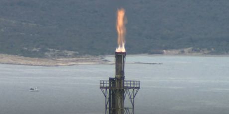 Poljoprivreda postaje ekološki održivija - 2