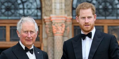 Princ Harry i princ Charles - 1