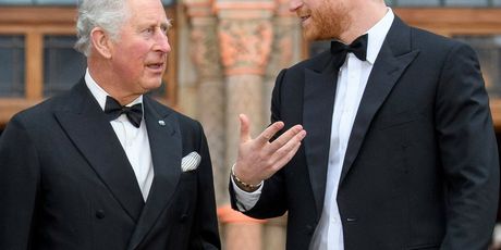 Princ Harry i princ Charles - 2