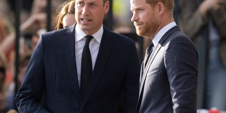 Princ Harry i princ William - 2