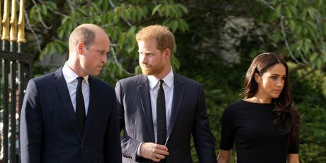 Princ Harry i princ William - 3