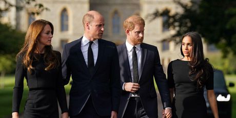 Princ William, Kate Middleton, princ Harry, Meghan Markle - 2