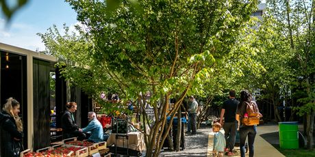 OktoBeer Fest - 1