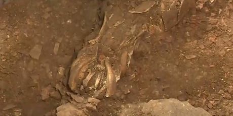 Arheološka senzacija na Dugom otoku - 3