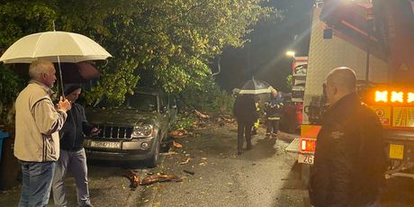 U Zamenhoffovoj ulici u Zagrebu stablo je palo na automobil 3
