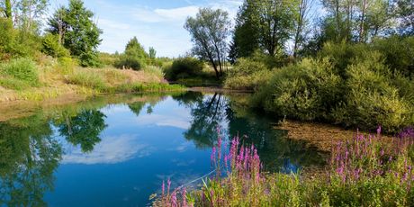 Jezero Sinjac - 4