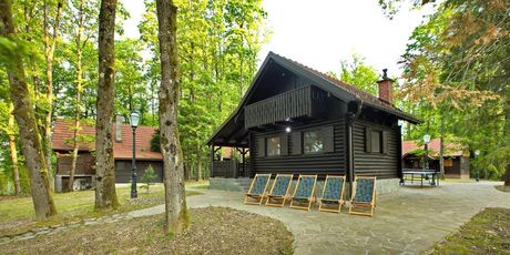 Turopoljsko imanje Gustelnica - 21