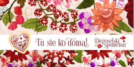 Stara jela z Dugog Sela - 2