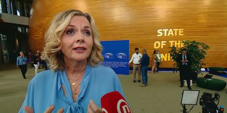 Željana Zovko, zastupnica u Europskom parlamentu Željana Zovko, zastupnica u Europskom parlamentu