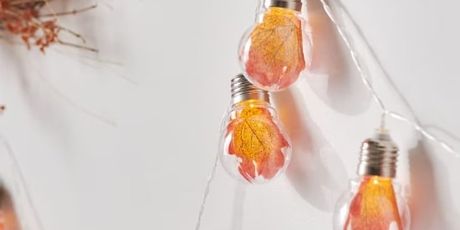 LED lampice