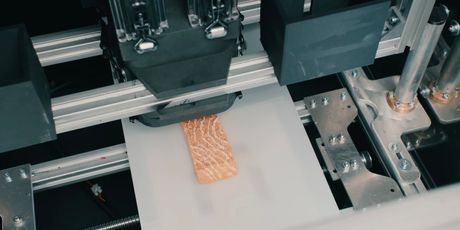 3D ispisana biljna zamjena za losos austrijske tvrtke Revo Foods - 3