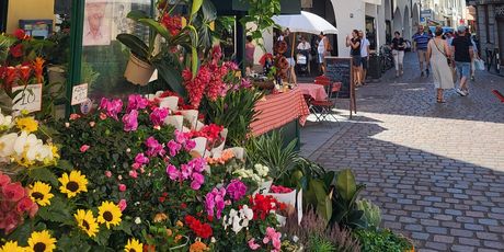 Bolzano - 2