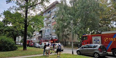Vatrogasna intervencija na zagrebačkom Vrbiku - 4