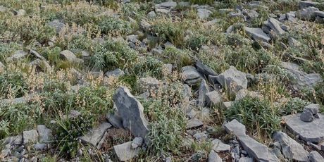 Highlander Velebit 2023. - 37