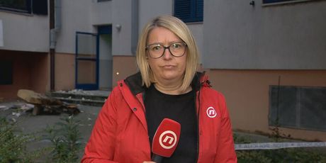 Lina Dollar, reporterka Dnevnika Nove TV