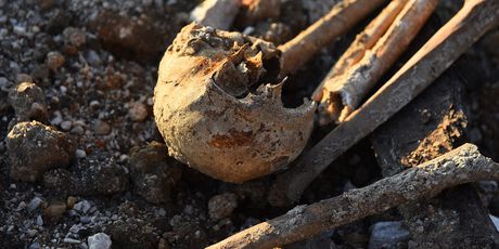 Kosti pronađene na deponiju u Karlovcu - 5