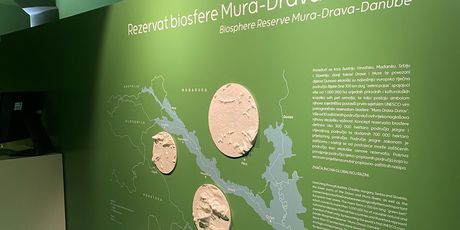 Dravska priča - 2