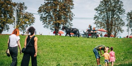 Štrudlafest - 9