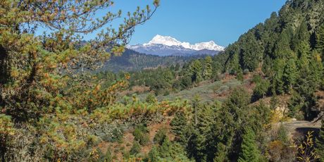 Gangkhar Puensum - 2