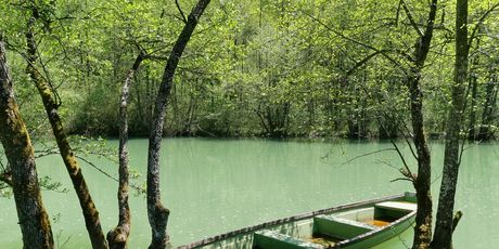 Mrežnica - 3