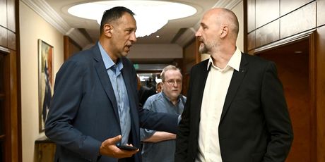 Dino Rađa, Vlade Divac